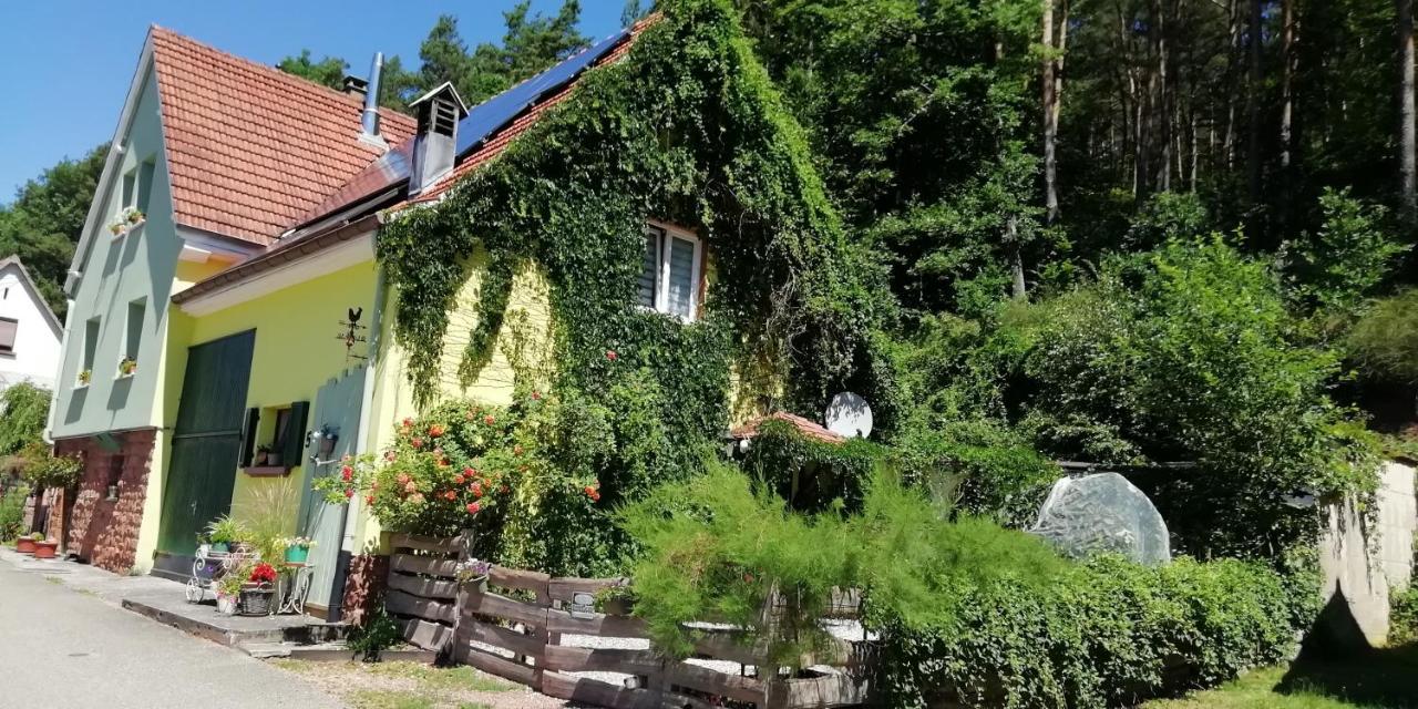 Violeta Villa Dambach ภายนอก รูปภาพ